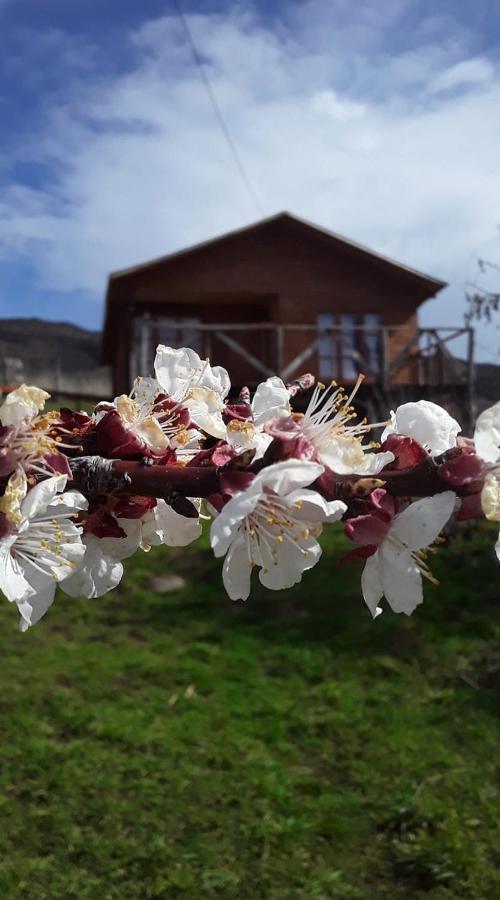 Bed and Breakfast Sol de la Patagonia Puerto Guadal Esterno foto